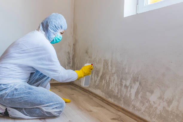 Crawl Space Mold Remediation treatment of floor joists in Sawyer